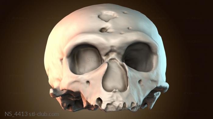 Нестандарт NS_4413