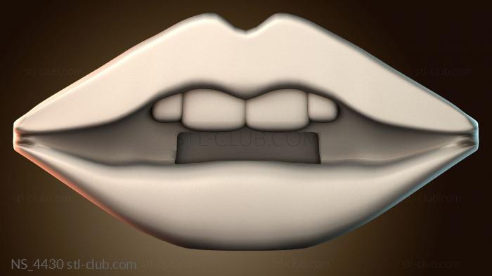 Нестандарт NS_4430