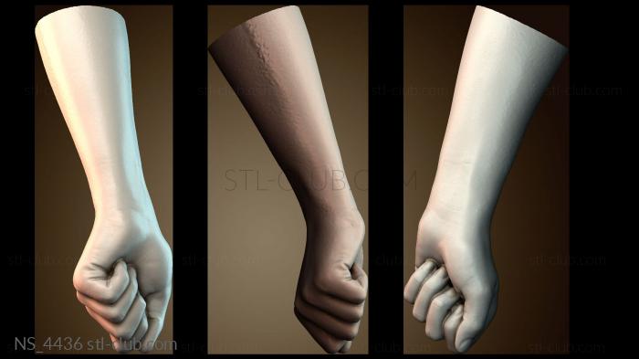 Нестандарт NS_4436