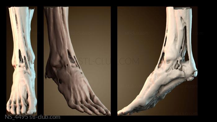 Нестандарт NS_4495