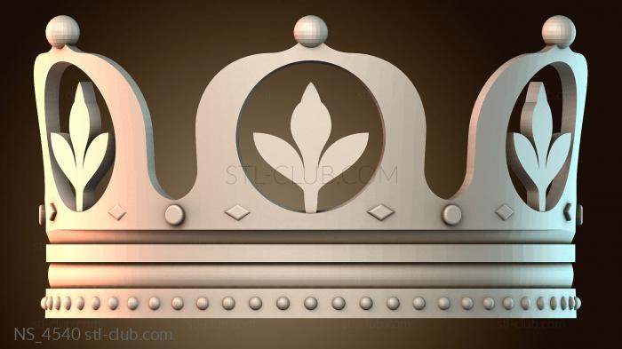 Нестандарт NS_4540