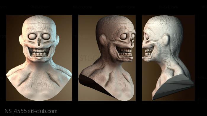 Нестандарт NS_4555