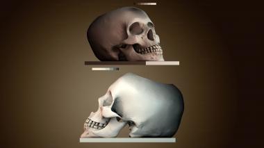 3D модель NS_4559 (STL)