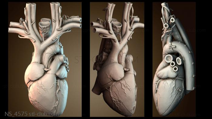 Нестандарт NS_4575