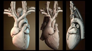 3D мадэль NS_4575 (STL)