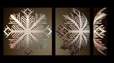 3D мадэль NS_4586 (STL)