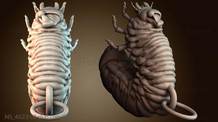 Нестандарт NS_4623