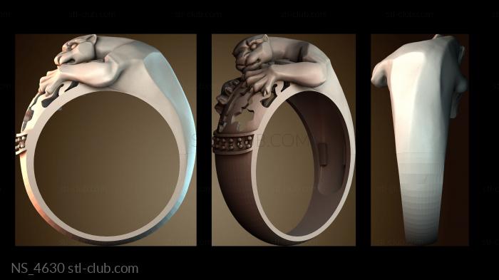 Нестандарт NS_4630