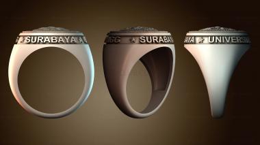 3D model NS_4669 (STL)