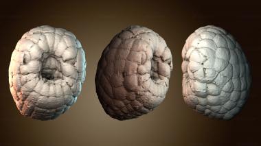 3D мадэль NS_4674 (STL)