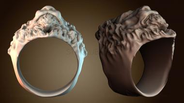 3D модель NS_4688 (STL)