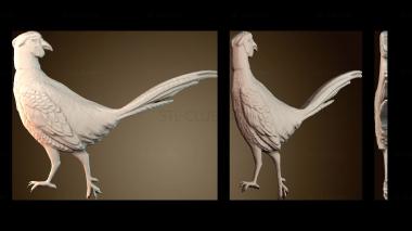 3D model NS_4763 (STL)