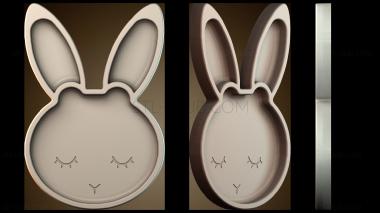 3D модель NS_4801 (STL)