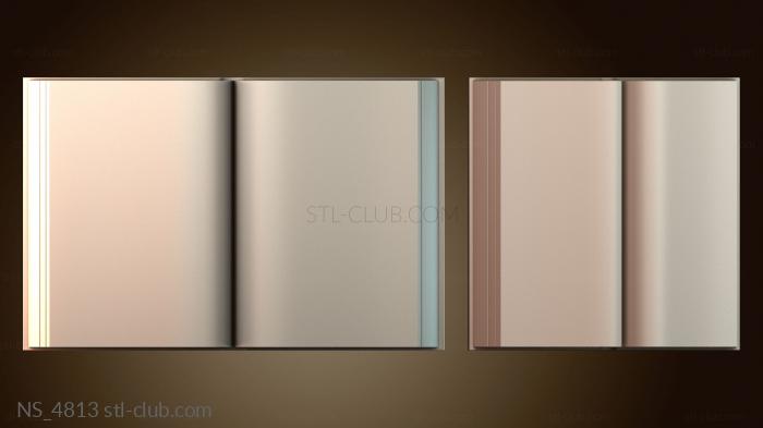 Нестандарт NS_4813