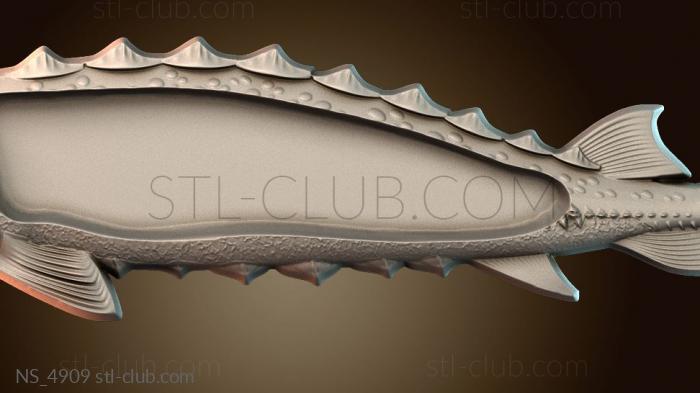 Нестандарт NS_4909