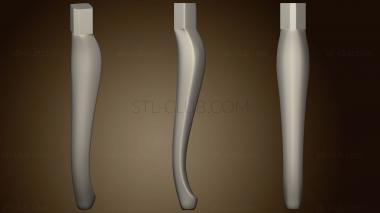 3D model The Leg Is Carved (STL)