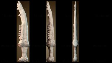 3D model NJ_1204 (STL)