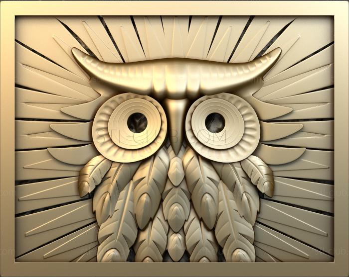 Owl