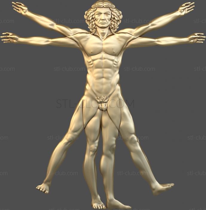 The Vitruvian man