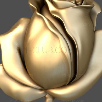 3D model Rosebud (STL)