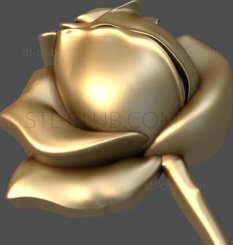 3D model Rosebud (STL)