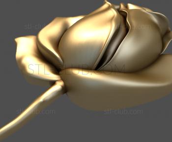 3D model Rosebud (STL)