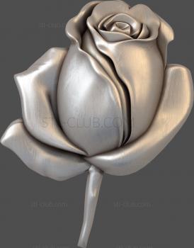 3D model Rosebud (STL)