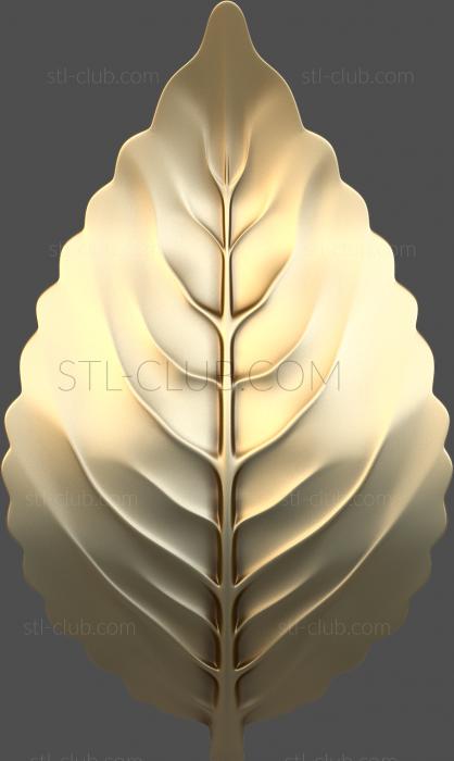 Curved flower leaf