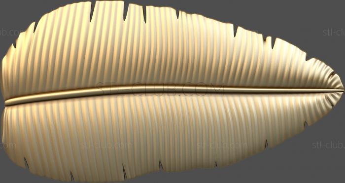 3D model Palm leaf (STL)