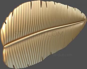 3D model Palm leaf (STL)