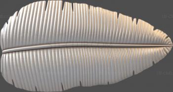 3D model Palm leaf (STL)