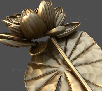 3D model Water lily panel (STL)