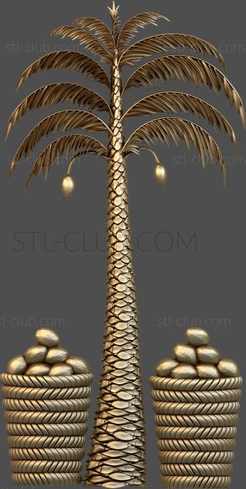 3D model Palm and coconut trees (STL)