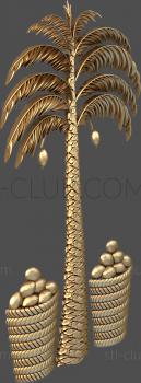 3D model Palm and coconut trees (STL)