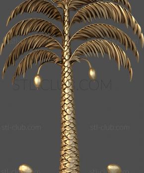 3D model Palm and coconut trees (STL)