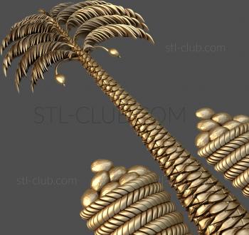 3D model Palm and coconut trees (STL)