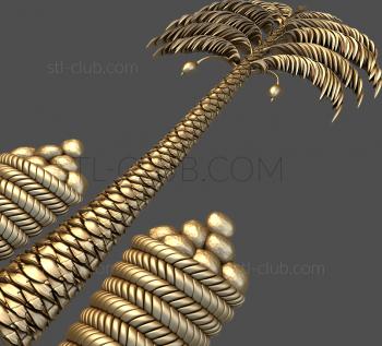 3D model Palm and coconut trees (STL)