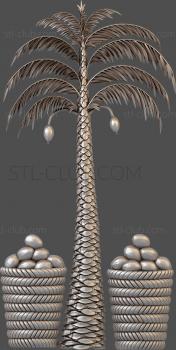 3D model Palm and coconut trees (STL)