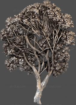 3D model Big tree (STL)