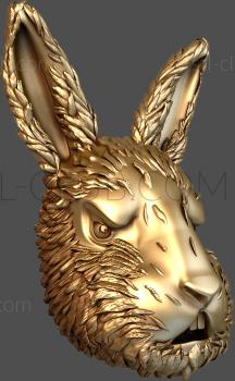 3D model Hare's head (STL)