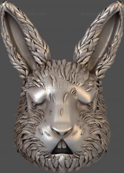 3D model Hare's head (STL)