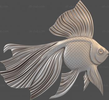 3D model Goldfish (STL)