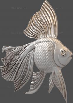 3D model Goldfish (STL)