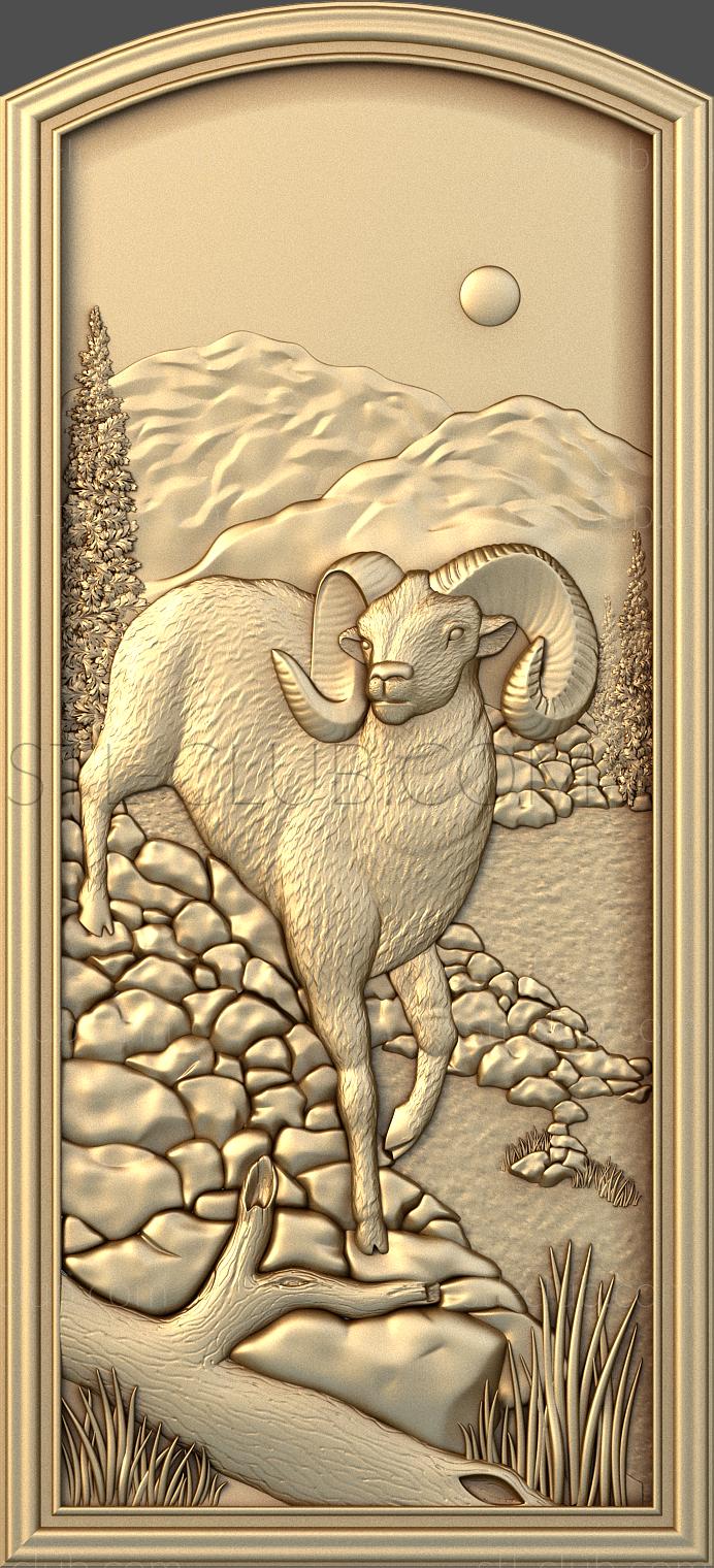 The big-horned ram