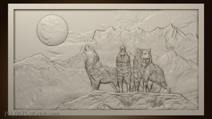 Panel wolves