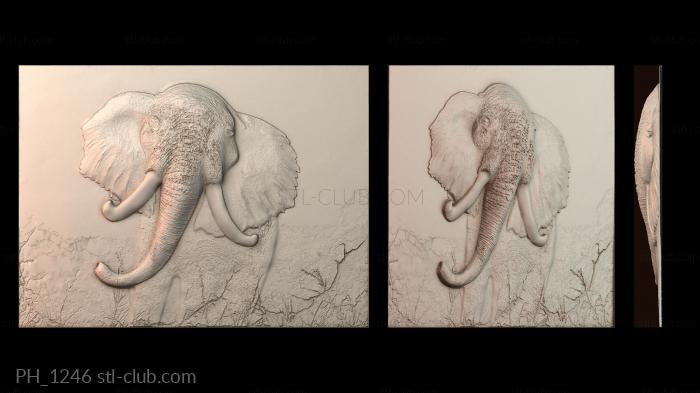 Панно художественные PH_1246