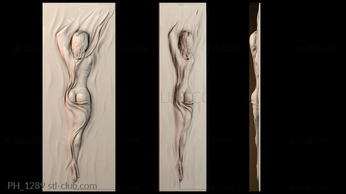 Панно художественные PH_1289