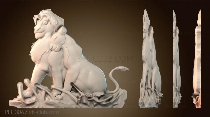 Панно художественные PH_3067