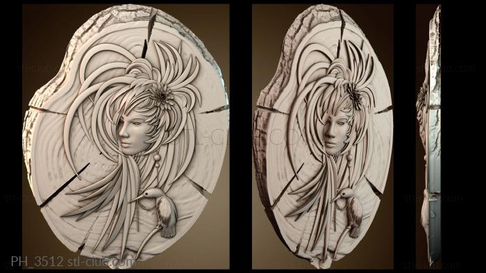 Панно художественные PH_3512