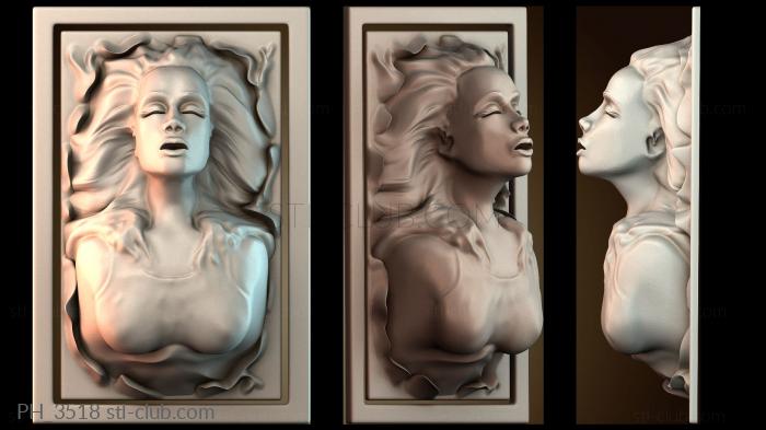 Панно художественные PH_3518